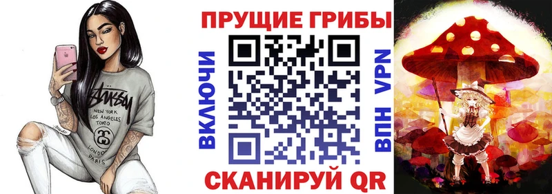 купить наркоту  Тюкалинск  Псилоцибиновые грибы Psilocybine cubensis 